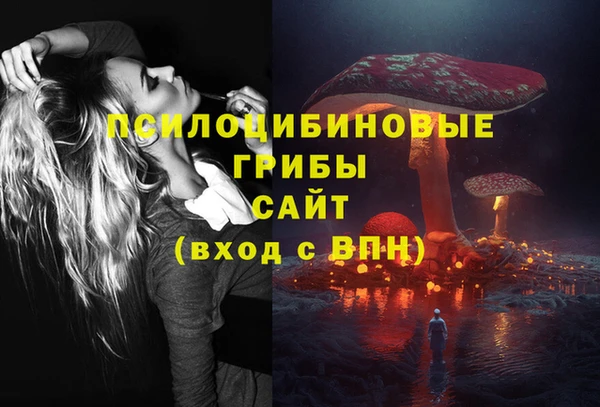 первитин Козловка
