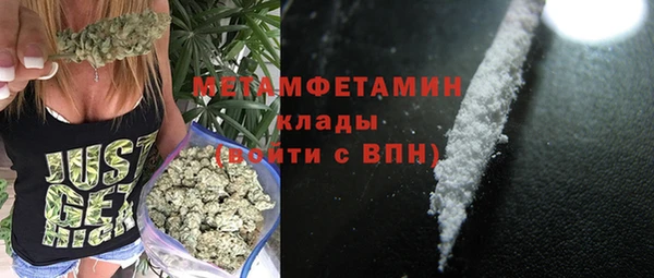 трава Коряжма