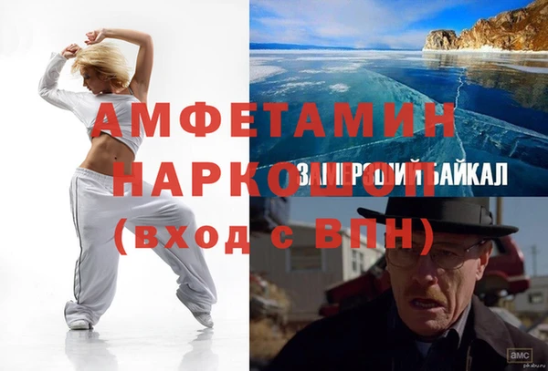 трава Коряжма